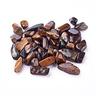 Natural Tiger Eye Beads, Undrilled/No Hole, Chips, 6~22x4~7x3~6mm, about 100g/bag(G-I221-22)