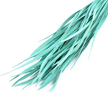 Goose Feather Costume Accessories, Dyed, Aquamarine, 150~265x3~4mm, about 100pcs/bundle