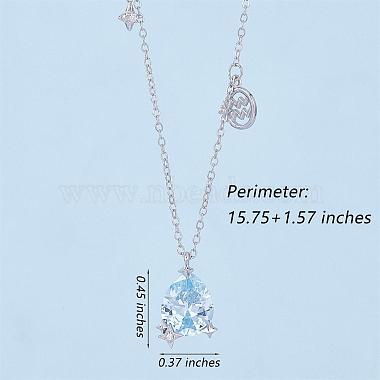 925 Sterling Silver Zircon Pendant Necklace 12 Constellation Pendant Necklace Jewelry Anniversary Birthday Gifts for Women Men(JN1088I)-2