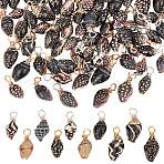 100Pcs 2 Colors Copper Wire Wrapped Natural Spiral Shell Pendants, Shell Shape Charms, Platinum & Golden, 16~20mm, Hole: 3mm, about 50pcs/color(PALLOY-AB00234)