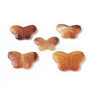 Natural Red Agate Beads, Butterfly, 20~28x31.5~39.5x5~5.5mm, Hole: 1.2mm(G-C054-01)