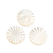 Natural Sea Shell Cabochons, Flat Round, White, 10x1mm(SHEL-D079-25)