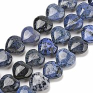 Natural Dumortierite Beads Strands, Heart, 12x12.5x5.5~6.5mm, Hole: 1mm, about 34~35pcs/strand, 15.24~15.63''(38.7~39.7cm)(G-H005-C15-02)