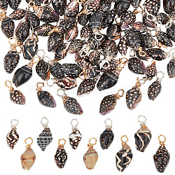 100Pcs 2 Colors Copper Wire Wrapped Natural Spiral Shell Pendants, Shell Shape Charms, Platinum & Golden, 16~20mm, Hole: 3mm, about 50pcs/color(PALLOY-AB00234)