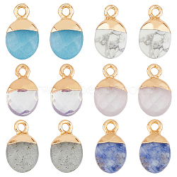 12Pcs 6 Styles Electroplated Natural & Synthetic Mixed Gemstone Faceted Oval Charms, with Golden Plated Iron Loops, Mixed Dyed and Undyed, 14~15x8x5~5.5mm, Hole: 1.8mm, 2pcs/style(G-FH0002-15)