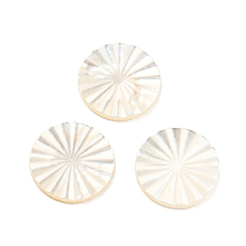 Natural Sea Shell Cabochons, Flat Round, White, 10x1mm
