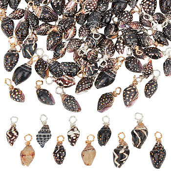 100Pcs 2 Colors Copper Wire Wrapped Natural Spiral Shell Pendants, Shell Shape Charms, Platinum & Golden, 16~20mm, Hole: 3mm, about 50pcs/color