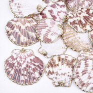 Electroplate Sea Shell Pendants, with Iron Findings, Light Gold, Colorful, 35~53x34~52x7~11mm, Hole: 2mm(SSHEL-S262-32)