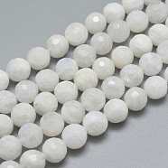 Natural Rainbow Moonstone Beads Strands, Faceted, Round, 8mm, Hole: 1mm, about 49pcs/strand, 15.7 inch(40cm)(G-G792-34B)