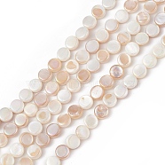 AB Color Plated Natural Freshwater Shell Beads Strands, Flat Round, 6x3mm, Hole: 0.8mm, about 63~64pcs/strand, 15.12~15.35(38.4~39cm)(BSHE-G033-04)