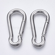 304 Stainless Steel Rock Climbing Carabiners, Key Clasps, Stainless Steel Color, 41x20x4mm(STAS-N087-24A-01)