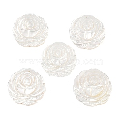 Natural White Shell Carved Pendants, Flower Charms, Seashell Color, 21x21x2mm, Hole: 1mm(SSHEL-B006-02)