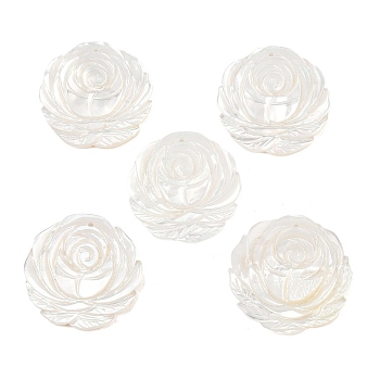 Natural White Shell Carved Pendants, Flower Charms, Seashell Color, 21x21x2mm, Hole: 1mm