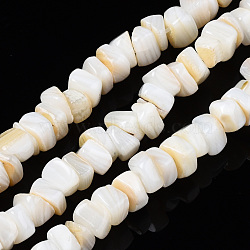 Natural Freshwater Shell Beads Strands, Nuggets Chips, Seashell Color, 5~8x5~7x2~5mm, Hole: 0.5mm, about 50~53pcs/strand, 7.28 inch(18.5cm)(SHEL-S278-042)