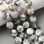 Natural Tree Agate Beads Strands, Faceted Hexagonal Cut Coin Beads, with Seed Beads, 10~10.5x6~6.5mm, Hole: 1.2mm, about 15pcs/strand, 7.28''(18.5cm)~7.68''(19.5cm)(G-D105-A05)