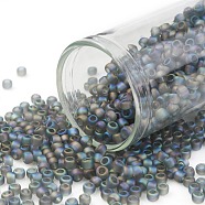 TOHO Round Seed Beads, Japanese Seed Beads, (176BF) Transparent AB Frost Gray, 8/0, 3mm, Hole: 1mm, about 222pcs/10g(X-SEED-TR08-0176BF)