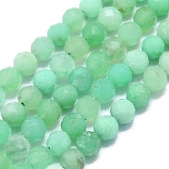 Natural Chrysoprase Beads Strands, Faceted, Round, 4~4.5mm, Hole: 0.6mm, about 92~93pcs/strand, 15.16~15.35 inch(38.5~39cm)(G-G106-C01-03)