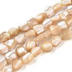 Natural Trochid Shell/Trochus Shell Beads Strands, Nuggets, BurlyWood, 5~11x5~8x3.5~6mm, Hole: 0.8~0.9mm, about 51~54pcs/strand,  15.55~15.75''(39.5~40cm)(BSHE-T014-23)