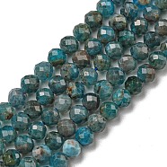 Natural Apatite Beads Strands, Faceted, Round, 4mm, Hole: 1mm, about 95pcs/strand, 15.35 inch(39cm)(X-G-K185-02-4MM)