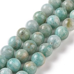 Natural Amazonite Beads Strands, Round, 8mm, Hole: 1mm, about 47pcs/strand, 15.55 inch(39.5cm)(G-S362-82B)