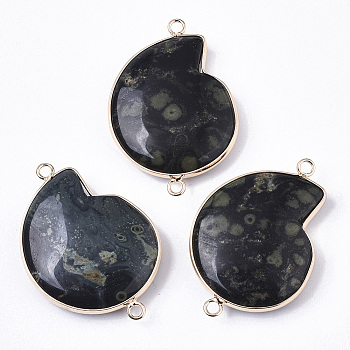 Natural Kambaba Jasper Links Connectors, with Light Gold Brass Edge, Spiral Shell Shape, 41~42x29x6mm, Hole: 2mm