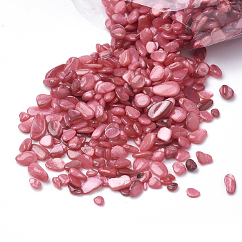 Shell Beads, No Hole Beads, Dyed, Chip, Indian Red, 1~15x1~15x0.5~5mm, about 450g/bag