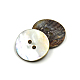 Abalone Shell/Paua Shell(BSHE-I011-04A)-2