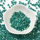 Glass Seed Beads(X1-SEED-H002-A-A617)-2