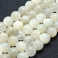 Natural White Moonstone Beads Strands, Grade A-, Round, 10mm, Hole: 1mm, about 39pcs/strand, 15.7 inch(40cm)(G-P342-02A-10mm-A-)