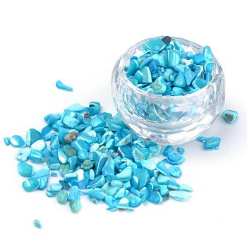 Natural Sea Shell Beads, No Hole, Dyed, Chip, Deep Sky Blue, 2~15x2~10x1~5mm