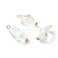 Transparent Acrylic Beads Pendant, with Iron Finding, Nuggets, Clear, 31x15x13mm, Hole: 3mm(PALLOY-JF00828)