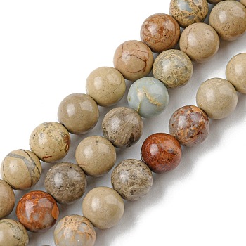 Natural Aqua Terra Jasper Strands, Impression Jasper, Round, 10x9.5mm, Hole: 1mm, about 38pcs/strand, 14.5 inch