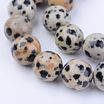 Natural Dalmatian Jasper Beads Strands, Round, 6~6.5mm, Hole: 1mm, about 58~60pcs/strand, 15 inch(X-G-Q462-6mm-30)