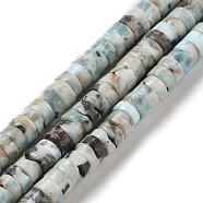 Natural Larimar Beads Strands, Disc, Heishi Beads, 5~5.5x2.5~3mm, Hole: 0.9mm, about 144pcs/strand, 15.59''(39.6cm)(G-Q024-B03-02)