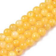 Natural Freshwater Shell Beads Strands, Dyed, Round, Orange, 2.5mm, Hole: 0.5mm, about 122~136pcs/strand, 14.57 inch~15.63 inch(37cm~39.7cm)(BSHE-T009A-01I)