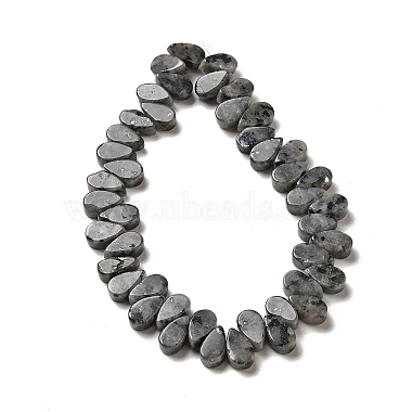 Natural Larvikite Beads Strands(G-B064-B63)-3