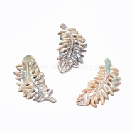 Natural Abalone Shell/Paua Shell Cabochons, Feather, 41x20x2mm(SSHEL-L016-008D)