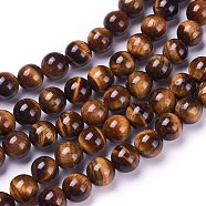 Round Tiger Eye Beads Strands, Grade AB+, Dark Goldenrod, 8mm, Hole: 1mm, about 48pcs/strand(Z0RQT012)