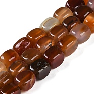 Natural Red Agate Beads Strands, Cuboid, 14~15x10~11x10~11mm, Hole: 0.5mm, about 27~29pcs/strand, 15.91''~16.14''(40.4~41cm)(G-M403-D05-01)