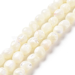 Natural Trochid Shell Beads Strands, Round, Seashell Color, 8~9x7.5~9.5x7.5~9.5mm, Hole: 0.8mm, about 45pcs/strand, 15.35~15.55 inch(39~39.5cm)(SSHEL-G023-04A)