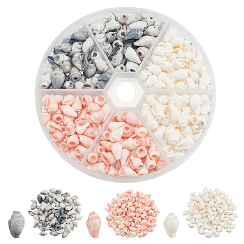 Elite 3 Strands 3 Styles Natural Sea Shell Conch Beads Strands, Mixed Color, 5~12.5mm, Hole: 1~4mm, about 135~150pcs/strand, 54~58.3inch, 1 strand/style
