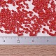 MIYUKI Delica Beads(SEED-JP0008-DB0727)-4