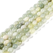 Natural New Jade Beads Strands, Oval, 8.5x6.5mm, Hole: 1.8mm, about 49~52pcs/strand, 15.75''(40cm)(G-K362-I02-02)