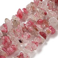 Natural Cherry Blossom Jasper Chip Beads Strands, 5~13x4~11x1.5~8mm, Hole: 0.6mm, 31.65''(80.4cm)(G-G905-12)