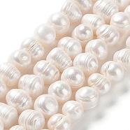 Natural Cultured Freshwater Pearl Beads Strands, Potato, Grade 3A, Antique White, 9.5~12.5x9~11mm, Hole: 0.5mm, about 34pcs/strand, 13.86''(35.2cm)(PEAR-E019-06)