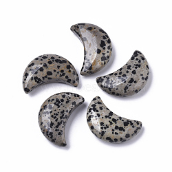 Moon Shape Natural  Dalmatian Jasper Healing Crystal Pocket Palm Stones, for Chakra Balancing, Jewelry Making, Home Decoration, 30x20.5x9.5mm(G-T132-001)