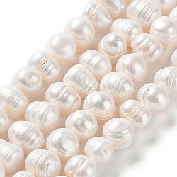 Natural Cultured Freshwater Pearl Beads Strands, Potato, Grade 3A, Antique White, 9.5~12.5x9~11mm, Hole: 0.5mm, about 34pcs/strand, 13.86''(35.2cm)(PEAR-E019-06)