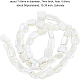 BENECREAT 2 Strands Column Natural White Shell Beads Strands(BSHE-BC0001-01)-2