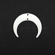 201 Stainless Steel Pendant, Moon, Stainless Steel Color, 25.5x30x1mm(FIND-PW0003-01A)