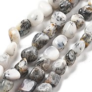 Natural White Opal Beads Strands, Nuggets, 8~15x5.5~12x4.5~10.5mm, Hole: 1~1.2mm, about 40~42pcs/strand, 15.94''~16.34''(40.5~41.5cm)(G-C179-F02-01)